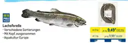 METRO Lachsforelle Angebot