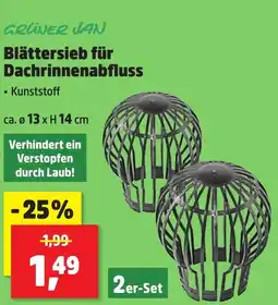 Thomas Philipps GRÜNER JAN Blättersieb für Dachrinnenabfluss 2er-Set Angebot