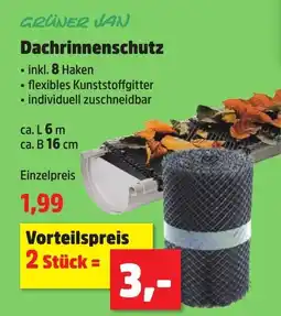 Thomas Philipps GRÜNER JAN Dachrinnenschutz Angebot