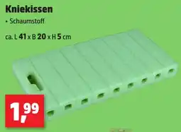 Thomas Philipps Kniekissen Angebot