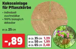 Thomas Philipps GRÜNER JAN Kokoseinlage für Pflanzkörbe Angebot