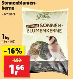 Thomas Philipps Sonnenblumenkerne Angebot