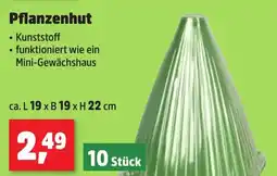 Thomas Philipps Pflanzenhut 10 Stück Angebot