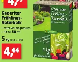 Thomas Philipps QUADRO Geperlter Frühlings- Naturkalk Angebot