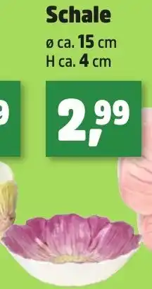 Thomas Philipps Dekoserie ,,Blüte" Schale Angebot