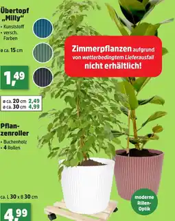 Thomas Philipps Übertopf ,,Milly" Angebot
