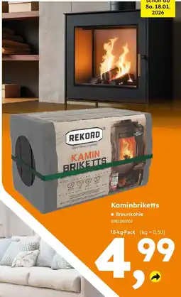 Globus Baumarkt Rekord Kaminbriketts Angebot