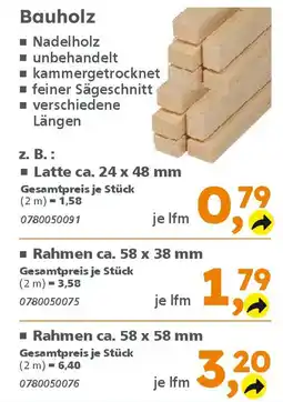 Globus Baumarkt Bauholz Angebot