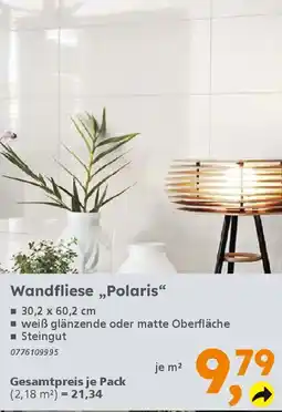 Globus Baumarkt Wandfliese,,Polaris" Angebot