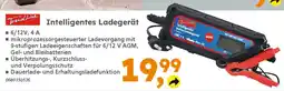Globus Baumarkt TrendLine Intelligentes Ladegerät Angebot