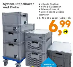 Globus Baumarkt System-Stapelboxen und Körbe Angebot
