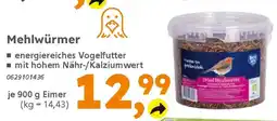 Globus Baumarkt Mehlwürmer Angebot