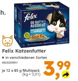 Globus Baumarkt Felix Katzenfutter Angebot