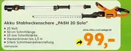 Globus Baumarkt PRIMASTER Akku Stabheckenschere „PASH 20 Solo" Angebot