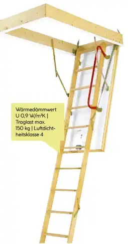 BayWa Dolle Bodentreppe Isotrend Angebot