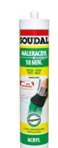 BayWa Soudal Maleracryl 10 Min Angebot