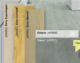 BayWa Specht Holzprodukte Vinylboden SPC Classic Angebot