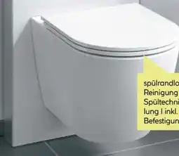 BayWa Valblue Sanitärmodul für Wand-WC Angebot