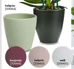 BayWa Orchideentopf Thalia Angebot