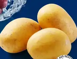 Lidl Speisekartoffeln Angebot