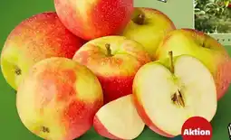 PENNY Naturgut Bio-Äpfel Angebot