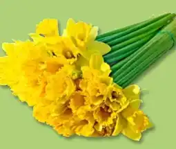 PENNY Narzissenstrauß Angebot