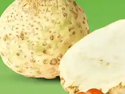 PENNY Marktliebe Regional Knollensellerie Angebot