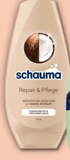 PENNY Schwarzkopf Schauma Spülung Angebot