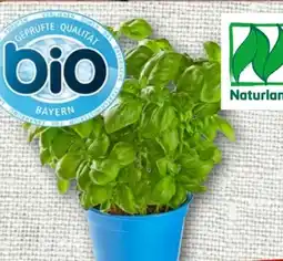 nahkauf Bio-Basilikum Angebot