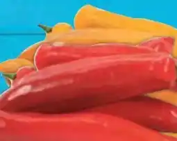 E-Center Spitzpaprika-Mix Angebot