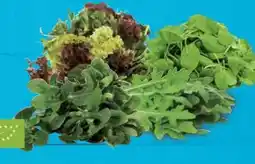 E-Center Bio-Salate Angebot