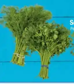 E-Center Schnittkräuter Angebot