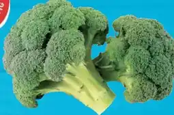 E-Center Gut & Günstig Brokkoli Angebot