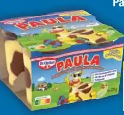 E-Center Dr. Oetker Paula Pudding Angebot