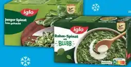 E-Center Iglo Junger Spinat Angebot