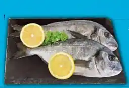 E-Center Dorade Royale Angebot