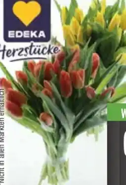 E-Center Edeka Herzstücke Tulpen-Strauß XL Angebot