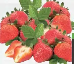 E-Center Erdbeeren Angebot