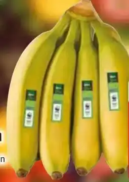 Edeka Edeka Bio Bio-Bananen Angebot