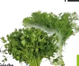 Edeka Schnittkräuter Angebot