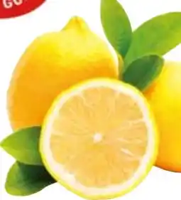 Edeka Gut & Günstig Zitronen Angebot