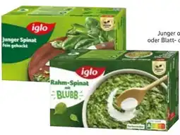 Edeka Iglo Spinat Angebot