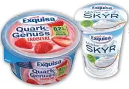 Edeka Exquisa Skyr Angebot