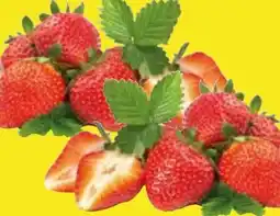 Edeka Erdbeeren Angebot