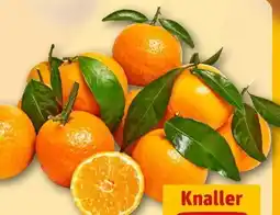 REWE Center Blattmandarinen Angebot