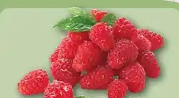 REWE Center Himbeeren Angebot