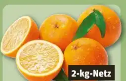 REWE Center Orangen Angebot