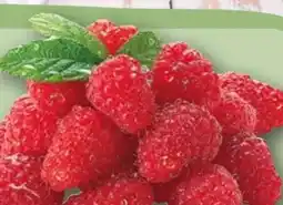 REWE Himbeeren Angebot