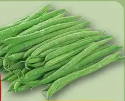 REWE Rewe Beste Wahl Buschbohnen Angebot