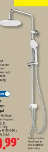 Lidl Livarno Home Überkopfbrause-Set Angebot